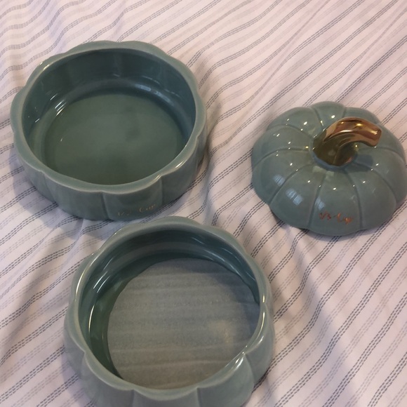 Measuring pumpkins - Picture 5 of 5